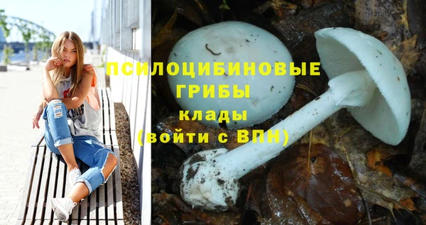 a pvp Нязепетровск
