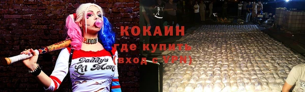меф Няндома