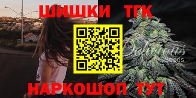тгк Славгород
