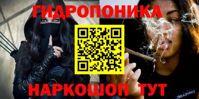 соль ск Сланцы