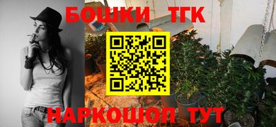 тгк Славгород